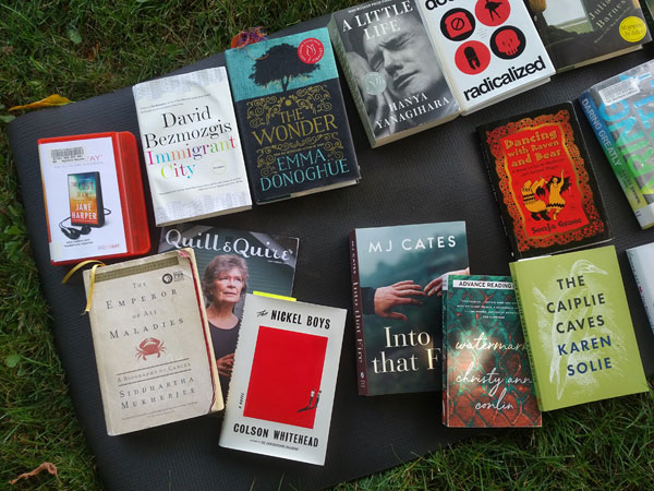 Selection of books at silent book club in the park