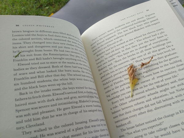 Leaf falls on page while I'm rading at silent book club in the park