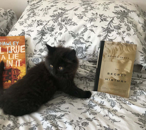 Books and cat