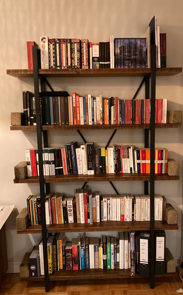Emily's bookshelves