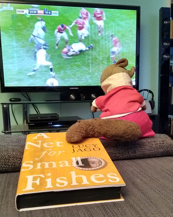 Kath's book and Squizz watching rugby