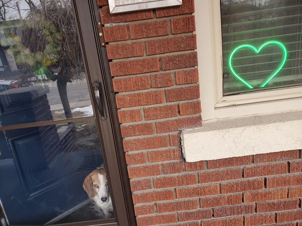 Our green glowing heart in the window
