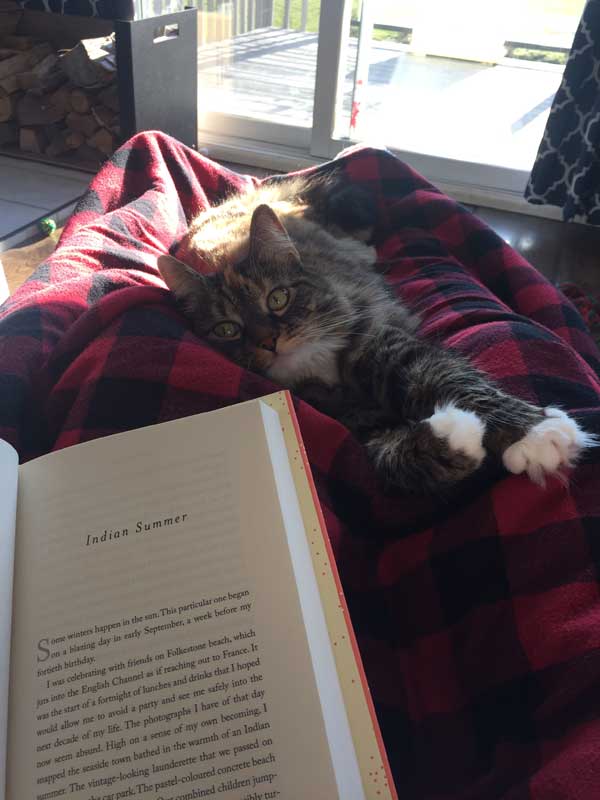 Emilia's reading, with Luna the cate