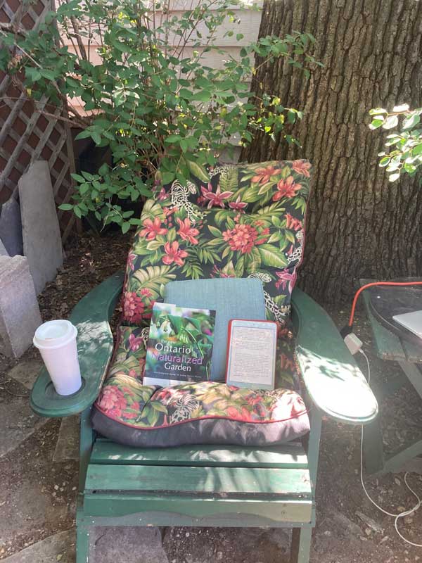 Jo's shady reading spot in her backyard