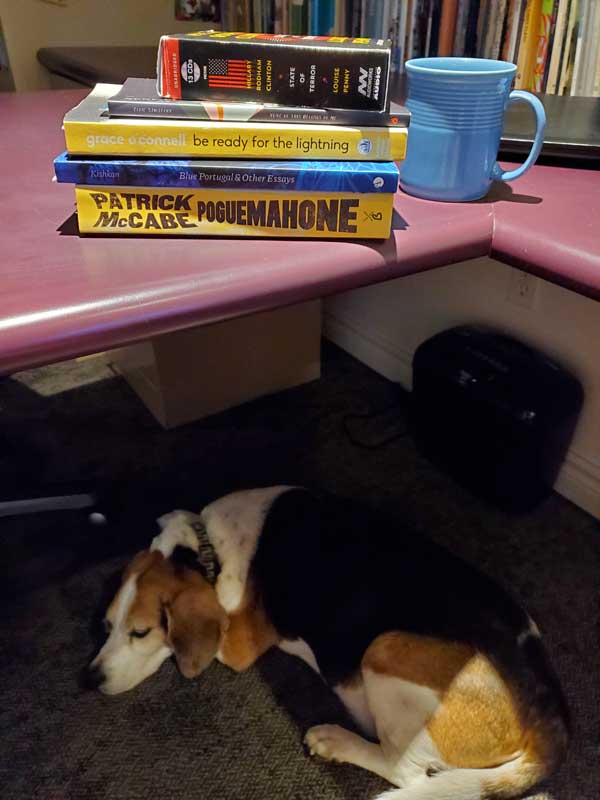 Vicki's stack of recent reading, with dearly missed Jake the beagle-basset under the desk