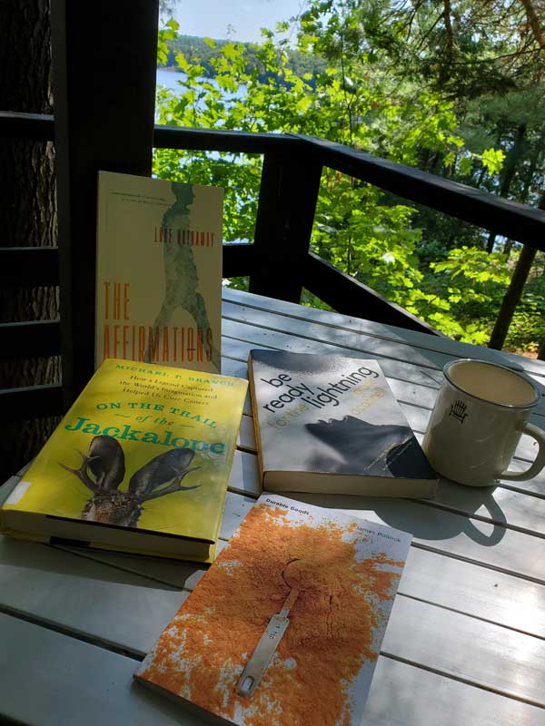 Vicki's books on a table on the porch of her cottage bunkie