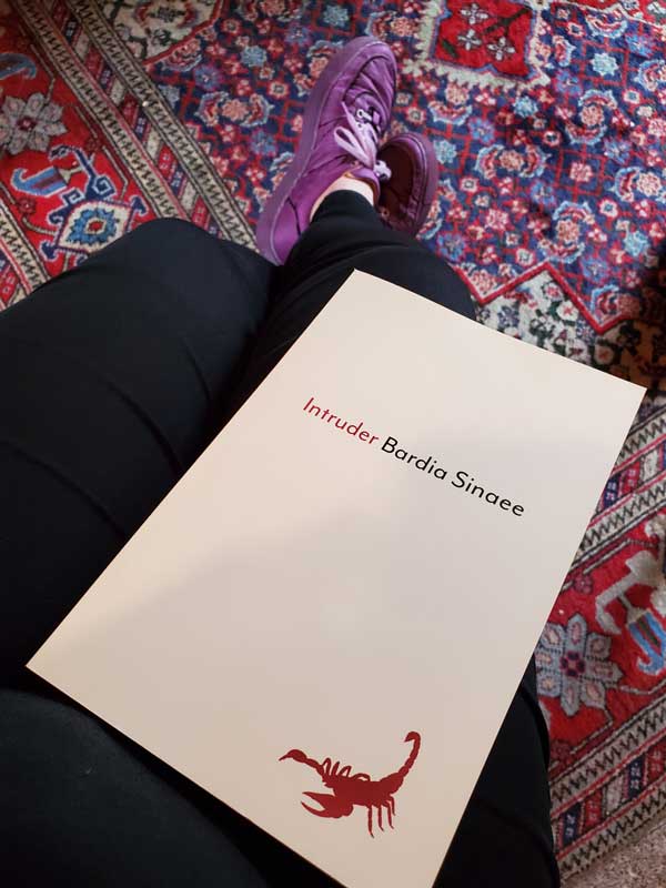 The poetry collection Intruder by Bardia Sinaee (House of Anansi Press) sits in my lap. My legs in black jeans and my feet in purple Fluevog sneakers are visible.