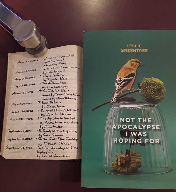 My 2022 year in reading, reflected in a page of my handwritten Book of Books, next to the short story collection Not the Apocalypse I Was Hoping For by Leslie Greentree