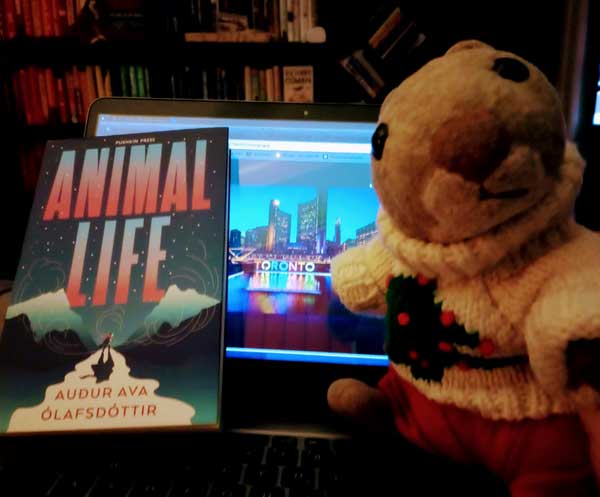 Squizzey the squirrel, reading companion of silent book club member Kathryn, poses next to the book Animal Life by Auður Ava Ólafsdóttir and a picture of Toronto city hall