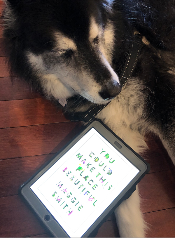 Silent book club member Tom's dog Aspen, an affectionate husky, lies on a wooden floor next to an e-book with the title You Could Make This Place Beautiful by Maggie Smith on the screen.