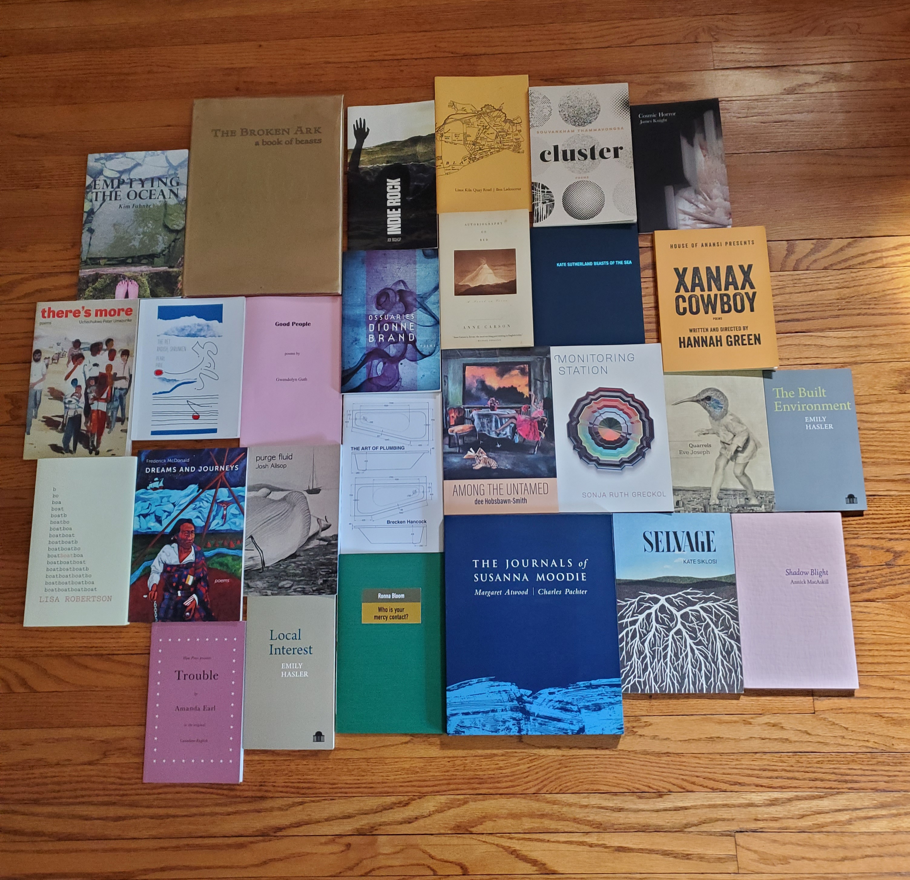 Poetry books (approximately 25-30) laid out in a tiled fashion on a wooden floor - including works by Kim Fahner, Ronna Bloom, Margaret Atwood/Charles Pachter, Amanda Earl and many more