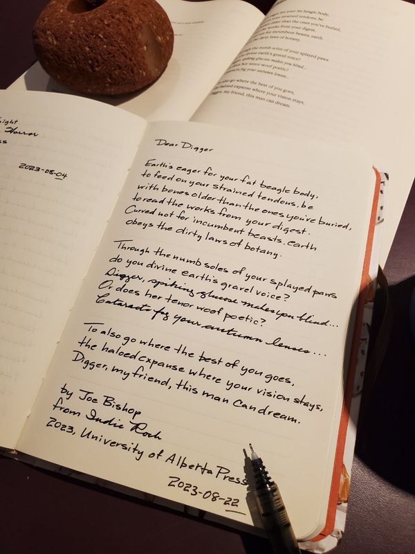 Handwritten selection from poetry work Indie Rock by Joe Bishop