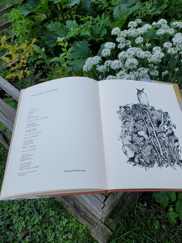 Selection from poetry work The Broken Ark - A Book of Beasts poems chosen by Michael Ondaatje, drawings by Tony Urquhart, held open near a green vegetable garden