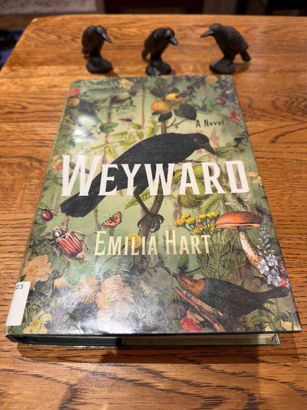 Silent book club member Jen's recent reading Weyward by Emilia Hart (Photo by Jennifer D. Foster)