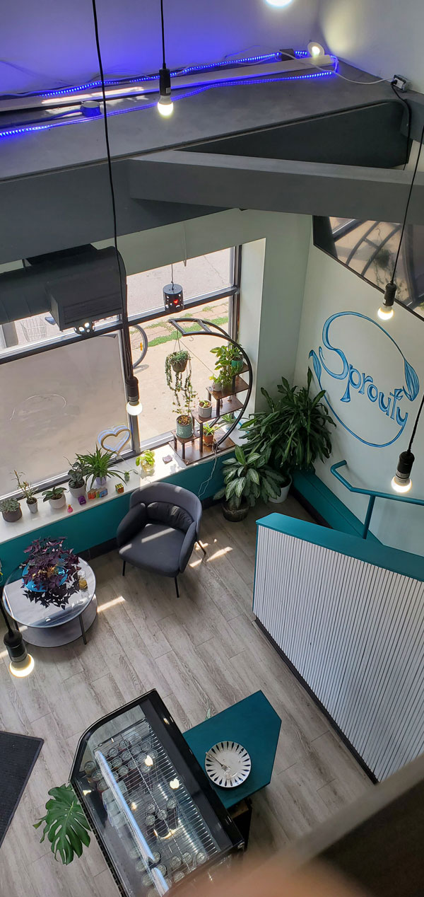 The view from our lovely 2nd floor reading roost at the Sprouty Cafe in east end Toronto. (Photo by Vicki Ziegler)