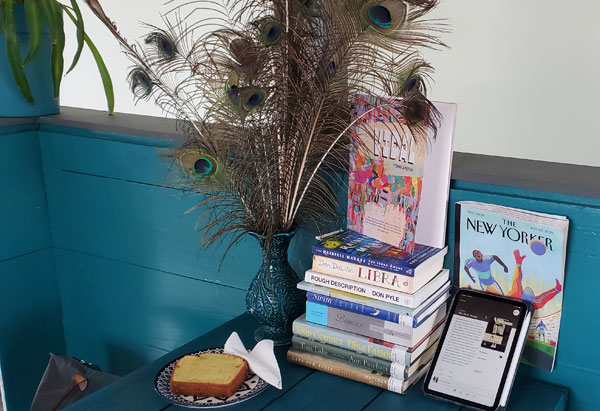 Group book pile at Sprouty Cafe, accompanied by cake - titles and publications include The New Yorker, The Birth House by Ami Mckay, Libra by Don DeLillo, Vidal by Danila Botha + more (Photo by Vicki Ziegler)
