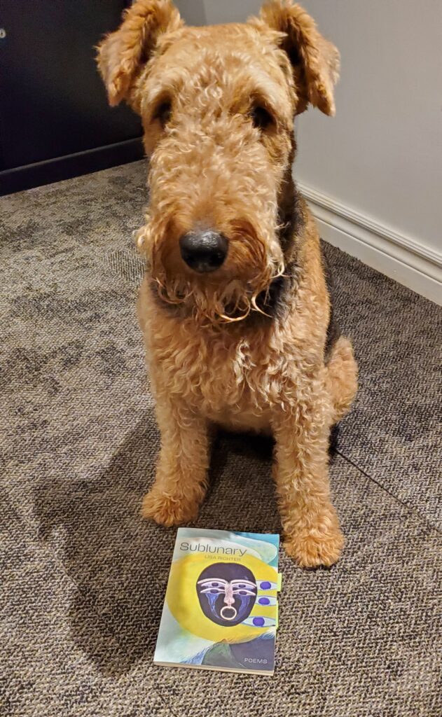 Mavis the Airedale sits prettily with the poetry collection Sublunary by Lisa Richter (University of Alberta Press) before her