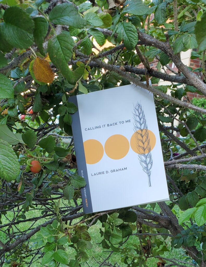 Poetry collection Calling It Back to Me by Laurie Graham (McClelland & Stewart) nested in a bush with bright green leaves and rose hips hanging from some branches
