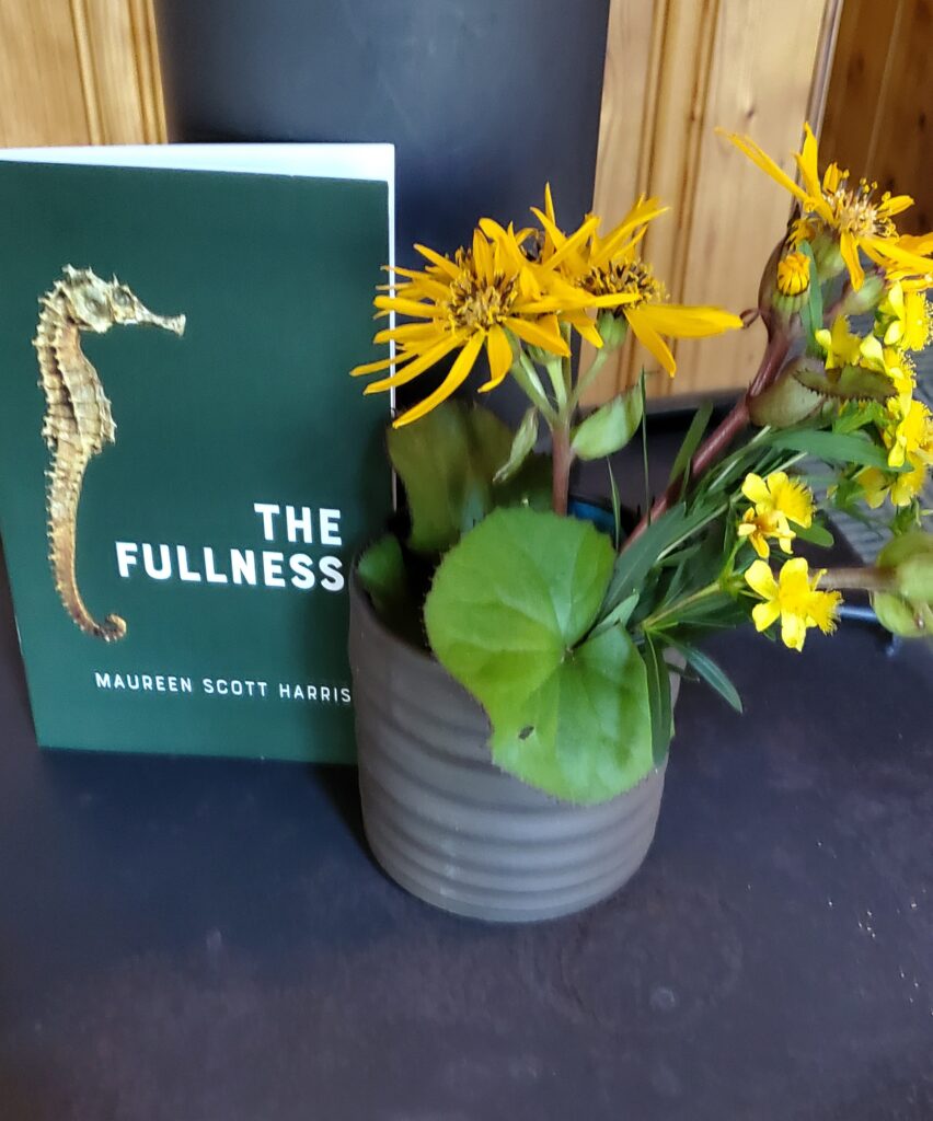 Poetry chapbook The Fullness by Maureen Scott Harris (Anstruther Press) sits atop a woodstove next to a vase of yellow flowers