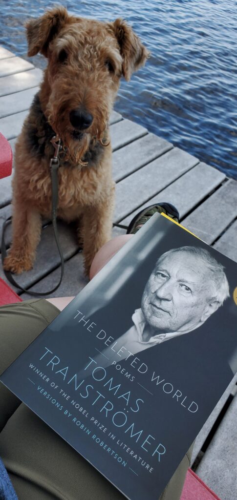 Mavis the Airedale terrier looks one as I read the poetry collection The Deleted World by Tomas Tranströmer, translated by Robin Robertson (House of Anansi Press) on a dock next to Big Doe Lake
