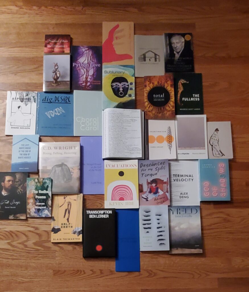 My 2026 Sealey Challenge poetry reading, spread out on the floor