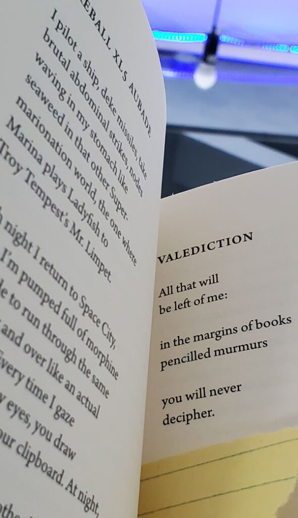 A poem from the collection The Sky is a Sky in the Sky by Stuart Ross (Photo by Vicki Ziegler)